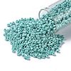 TOHO Round Seed Beads SEED-XTR08-0413F-2