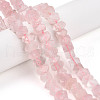 Natural Rose Quartz Beads Strands G-N347-09A-02-1