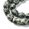 Natural Green Spot Jasper Beads Strands G-G146-A26-02-4
