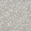 Glass Seed Beads SEED-A006-3mm-101-2