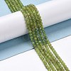 Natural Olive Jade Beads Strands G-D463-13B-4