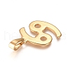 304 Stainless Steel Pendants STAS-L210-06H-G-01-2