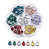 K9 Glass Charms GLAA-N038-26-3