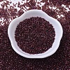 MIYUKI Delica Beads SEED-J020-DB0120-2
