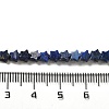Natural Lapis Lazuli Beads Strands G-G085-B02-02-4