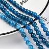 Natural Apatite Beads Strands X-G-S150-18-6mm-4