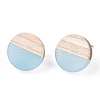 Transparent Resin & Wood Stud Earrings EJEW-N017-003A-D01-3