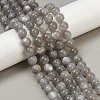 Natural Grey Moonstone Beads Strands G-G206-A01-10mm-1