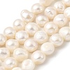 Natural Cultured Freshwater Pearl Beads Strands PEAR-A006-13A-2