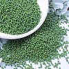 MIYUKI Round Rocailles Beads X-SEED-G007-RR0480-1