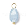 20Pcs Opaque Baking Painted Crackle Glass Charms PALLOY-JF03952-04-2