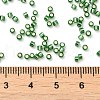 Glass Seed Beads X-SEED-S042-04B-26-4