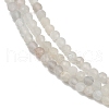 Natural White Moonstone Beads Strands G-D304-01-2.5mm-4