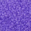 Frosted Colours Glass Seed Beads PW-WG88870-26-1