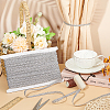 Polyester Braided Metallic Lace Trim SRIB-WH0011-180D-02-5