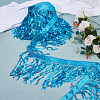 10M Paillette Tassel Ribbon Trim OCOR-WH0078-162A-4