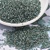MIYUKI Delica Beads SEED-J020-DB2379-1