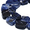 Natural Sodalite Beads Strands G-K245-J15-01-3