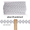 Polyester Lace Ribbons OCOR-WH0082-20B-2