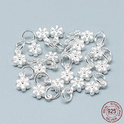 925 Sterling Silver Charms STER-T002-104S-1