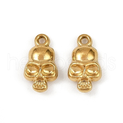 304 Stainless Steel Charms STAS-F317-13G-1