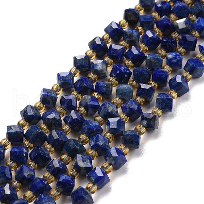 Natural Lapis Lazuli Beads Strands G-P463-25-1