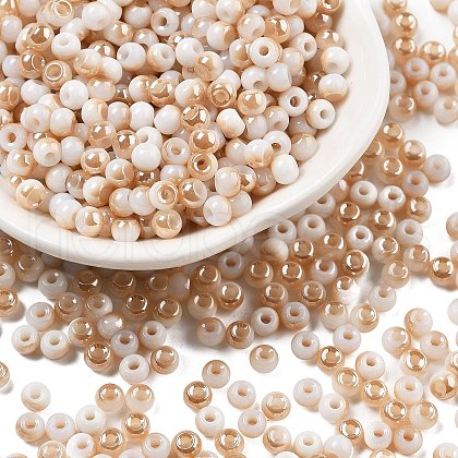 Glass Seed Beads GLAA-Q096-01F-1