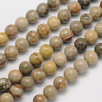 Natural Fossil Coral Round Bead Strands G-N0166-05-6mm-1