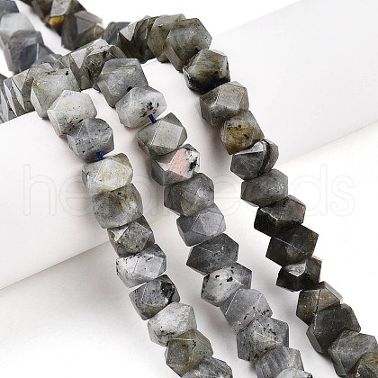 Natural Labradorite Beads Strands G-N347-09A-11-1