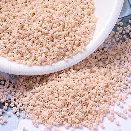 MIYUKI Delica Beads SEED-J020-DB0354-1