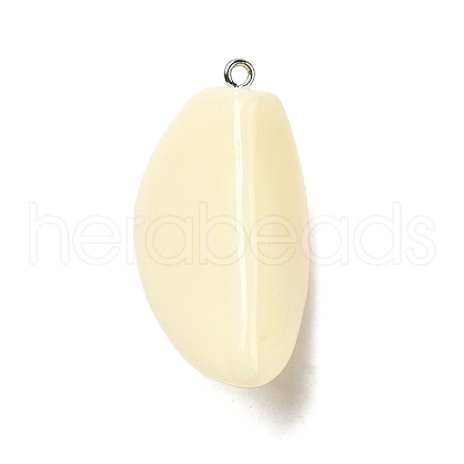 Opaque Resin Pendants FIND-I044-16B-1