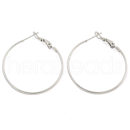Tarnish Resistant 202 Stainless Steel Hoop Earring EJEW-H003-36P-1