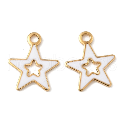 304 Stainless Steel Enamel Charms STAS-U057-13G-01-1