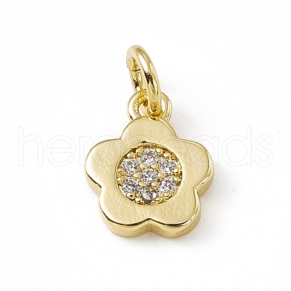 Brass Micro Pave Cubic Zirconia Charms ZIRC-F132-65G-1