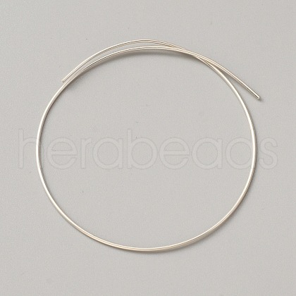 999 Fine Silver Wire STER-WH0008-14B-1