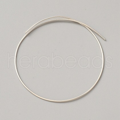 999 Sterling Silver Wire STER-WH0008-14B-1