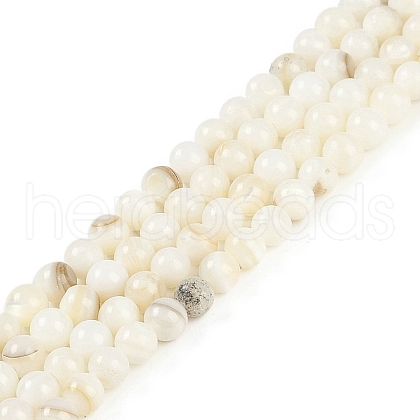 Natural Cultured Freshwater Shell Beads Strands BSHE-H109-03C-1