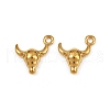 304 Stainless Steel Charms STAS-F317-11G-1