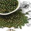 Transparent Colours Glass Seed Beads SEED-F006-03A-04-1