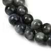 Natural Hawk's Eye Beads Strands G-S333-6mm-027-01-3