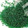 TOHO Round Seed Beads SEED-JPTR15-0167B-1