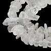 Natural Rainbow Moonstone Chip Beads Strands G-C195-01-4