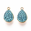 201 Stainless Steel Charms STAS-N109-215G-1