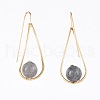 Natural Labradorite Dangle Earrings EJEW-JE03595-03-2