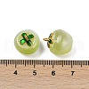 Transparent Glass Apple Pendants X1-DGLA-E004-16B-3