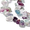 20Pcs Natural Fluorite Beads G-FS0001-57-4