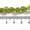 Raw Rough Natural Peridot Beads Strands G-P528-B05-01-4