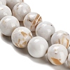 Assembled Synthetic Stone and Trochus Shell Beads Strands G-B128-08C-01-3