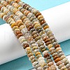 Natural Crazy Lace Agate Beads Strands G-K343-C04-02-2