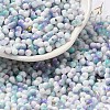 Baking Paint Glass Seed Beads X-SEED-F005-01A-09-1